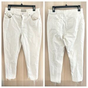 Everlane The 90s Cheeky Organic Cottom Denim Jeans 29 Ankle
